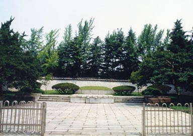 a200b73d403b5fd84cea874a2c835baa_1790576986_1727.jpg